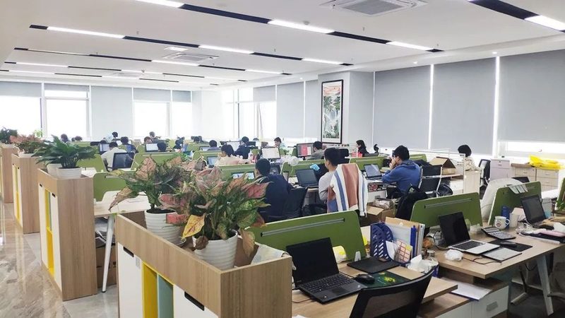 系统运维与网络运维证书：揭秘两者的区别与联系